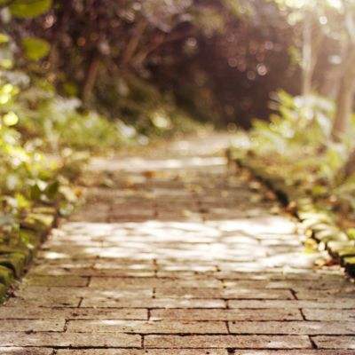 真人斗牛牛下载手机版